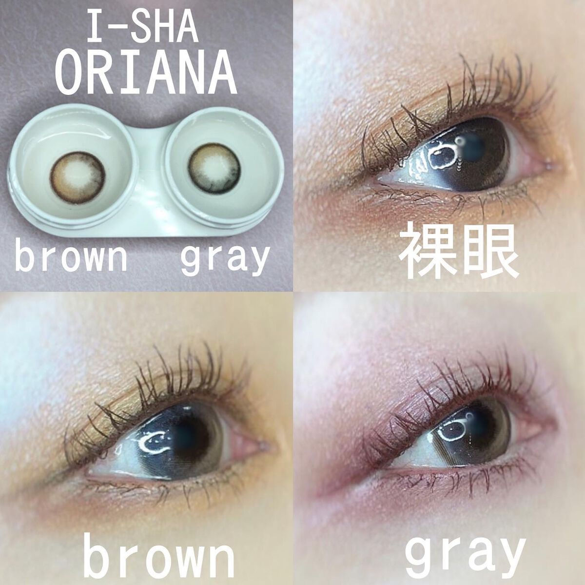 i-sha 1day オリアナ/CLARA CONTACT/ワンデー（１DAY）カラコンを使ったクチコミ（3枚目）