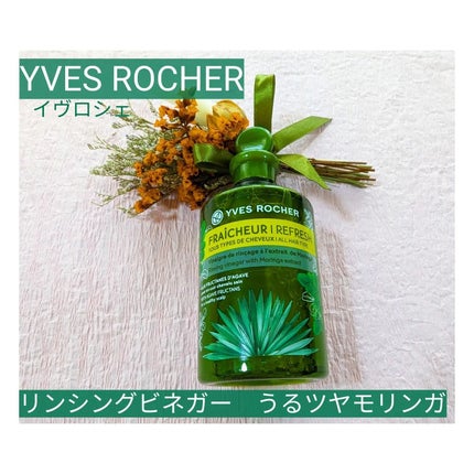 リンシングビネガー ピュアリフレッシュ うるツヤモリンガ /イヴ・ロシェ/洗い流すヘアトリートメントを使ったクチコミ(5枚目)