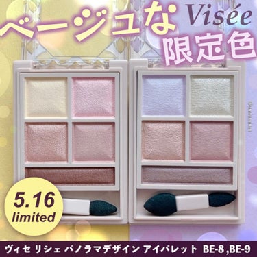 パノラマデザイン アイパレット/Visée/パウダーアイシャドウを使ったクチコミ（1枚目）