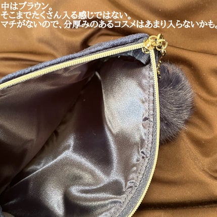 ウィンターダズル コレクション/DECORTÉ/メイクアップキットを使ったクチコミ(6枚目)