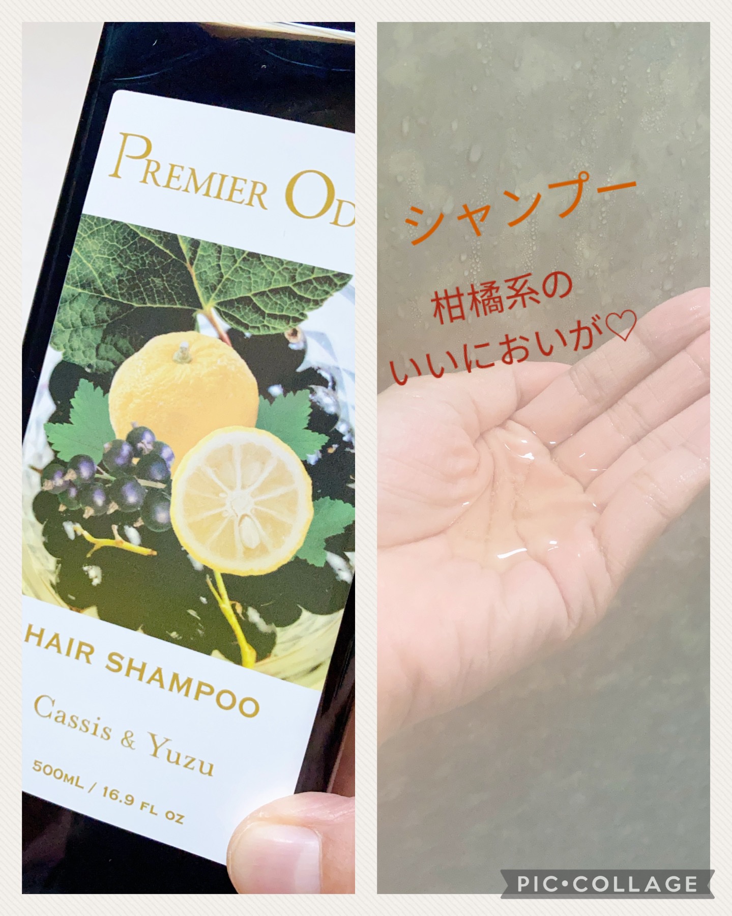 プルミエ オドゥール　シャンプー / トリートメント/premier odeur/市販シャンプーを使ったクチコミ（2枚目）