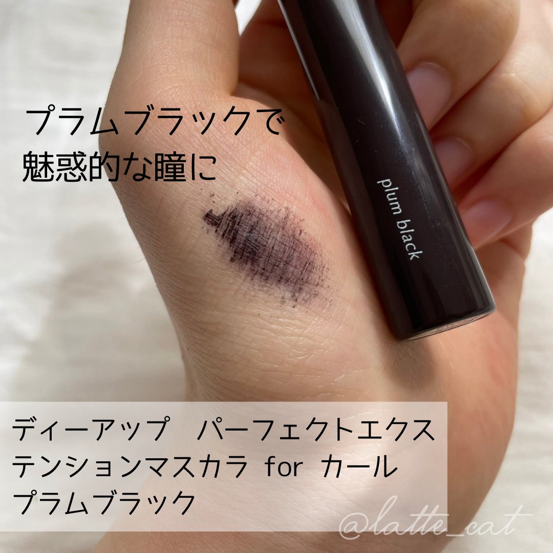 パーフェクトエクステンション マスカラ for カール/D-UP/マスカラを使ったクチコミ（2枚目）