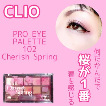 プロ アイ パレット/CLIO/パウダーアイシャドウを使ったクチコミ（1枚目）