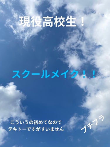 【旧品】パーフェクトスタイリストアイズ/キャンメイク/アイシャドウパレットを使ったクチコミ（1枚目）