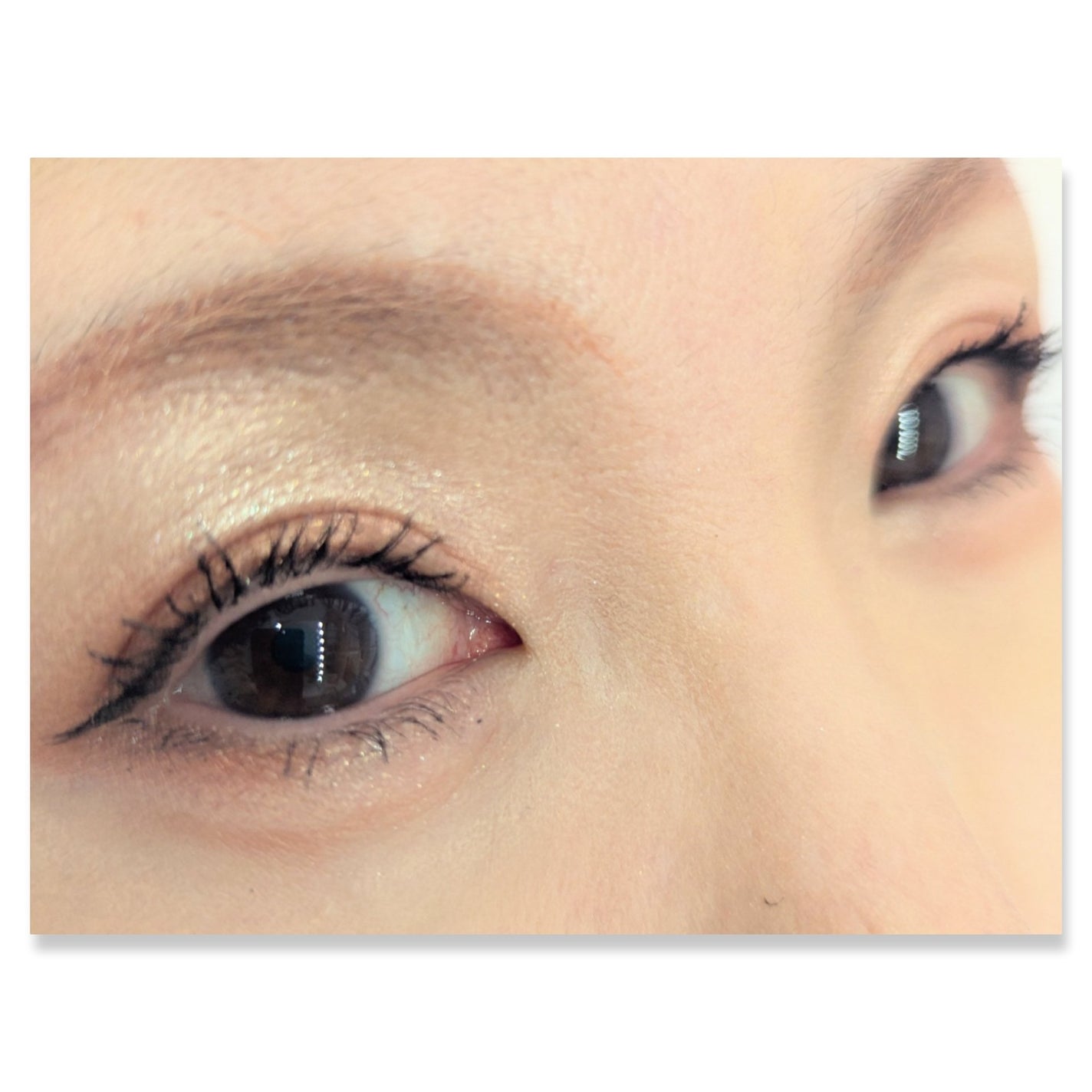 マイキティアイパレット/MilleFée/アイシャドウパレットを使ったクチコミ(2枚目)