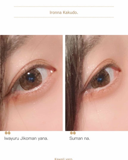 【旧品】パーフェクトスタイリストアイズ/キャンメイク/アイシャドウパレットを使ったクチコミ(1枚目)