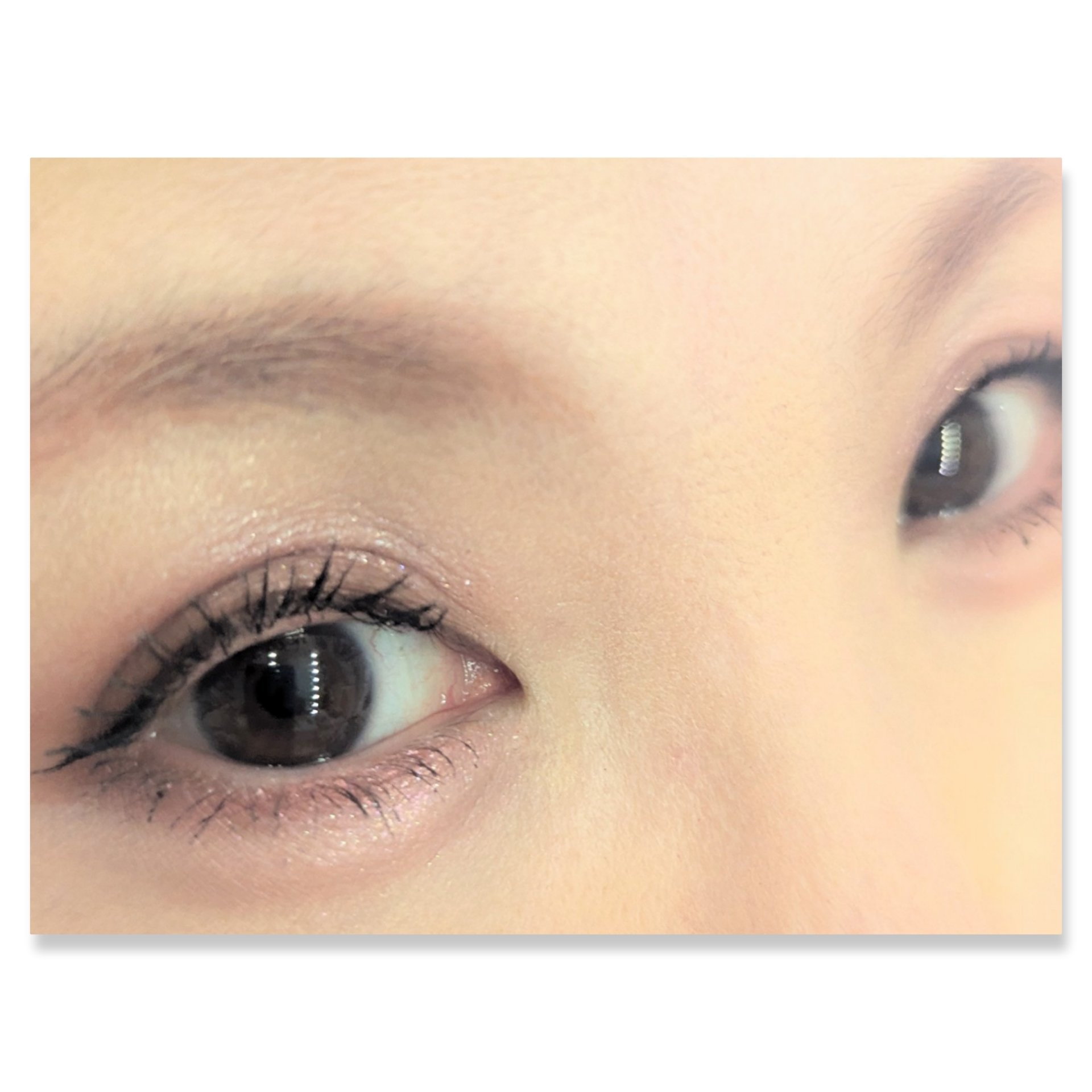 ジュエリーシャドウベール/キャンメイク/アイシャドウパレットを使ったクチコミ（2枚目）