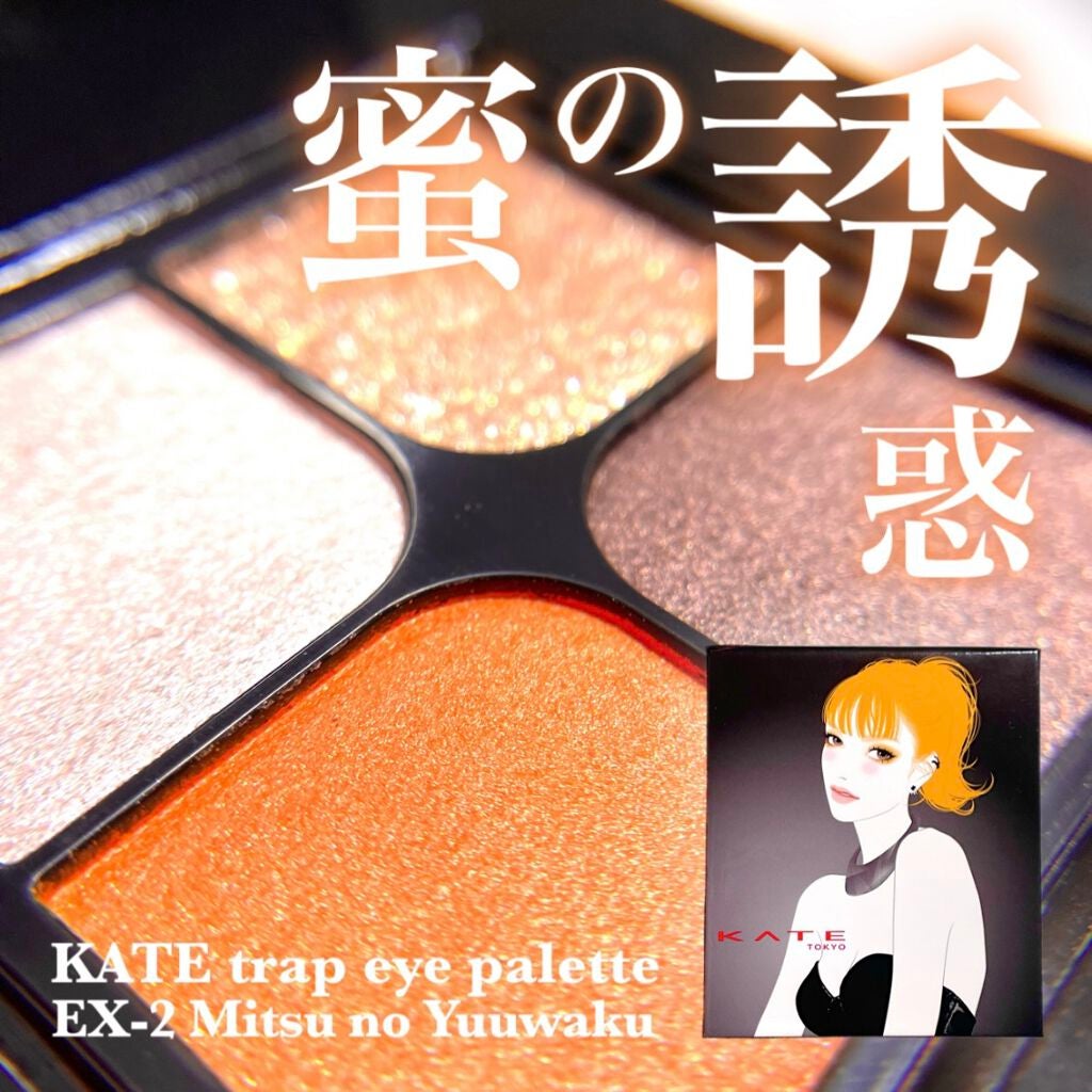 トラップアイパレット/KATE/アイシャドウパレットを使ったクチコミ(1枚目)