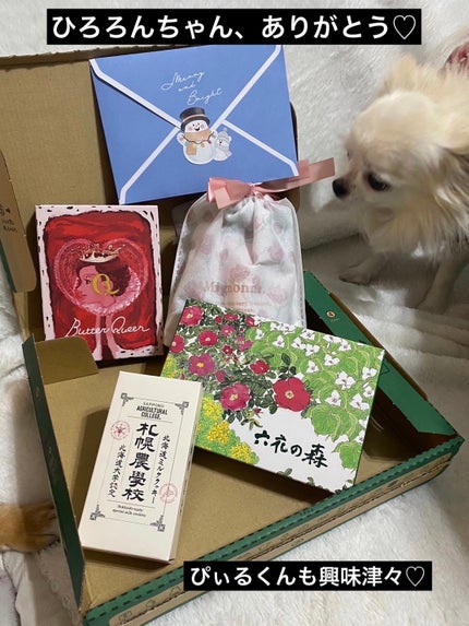 メンソレータム リペアワン 角質ケアリップ/メンソレータム/リップクリームを使ったクチコミ(6枚目)