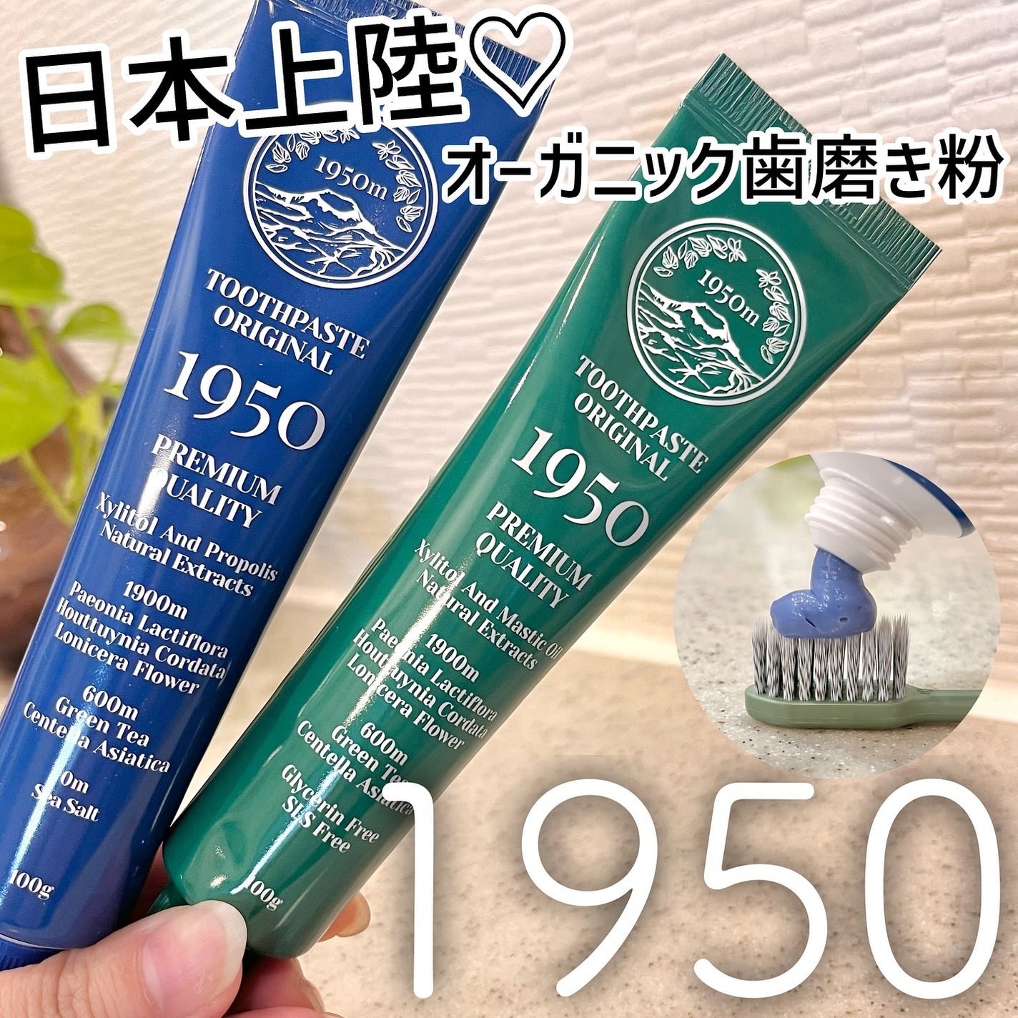 チェジュミネラルソルトブルーオーガニック歯磨き粉/1950/歯磨き粉を使ったクチコミ(1枚目)
