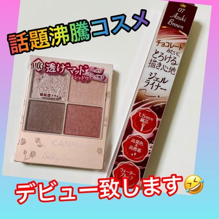 クリーミータッチライナー/キャンメイク/ジェルアイライナーを使ったクチコミ(3枚目)