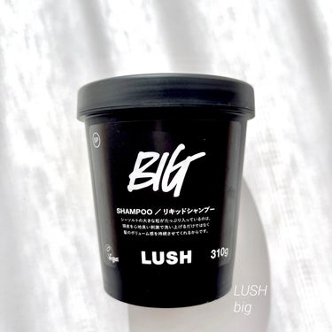 今日はシャンプーについて✏︎

🔹LUSH BIG🔹

久しぶりにLUSHへ寄ったので気になっていたシャンプーを買ってみました🫶
頭皮臭が気になっていることを伝えるとスクラブ入りのこちらのシャンプーを勧