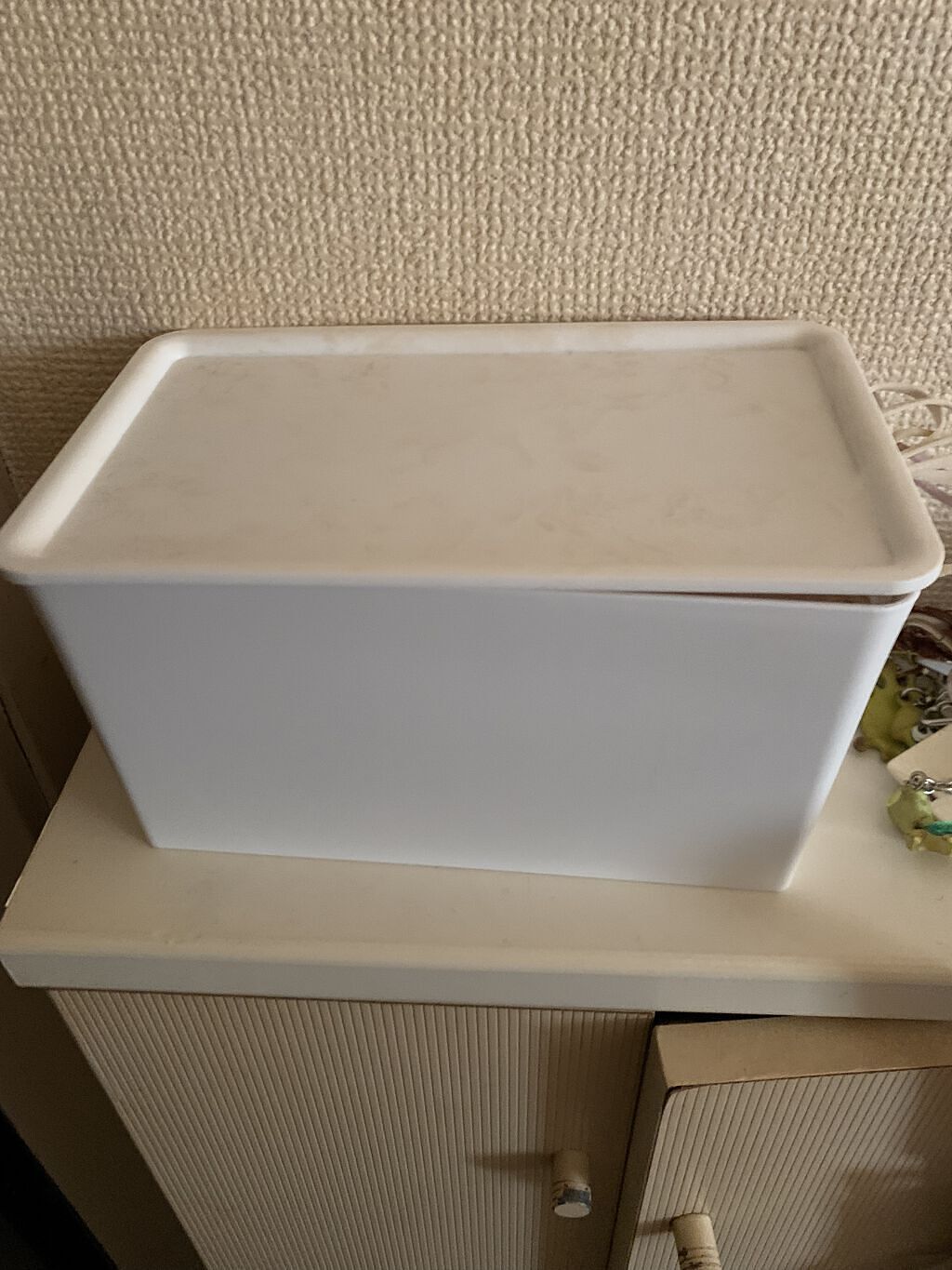 自由自在 積み重ねボックス/DAISO/その他を使ったクチコミ（1枚目）