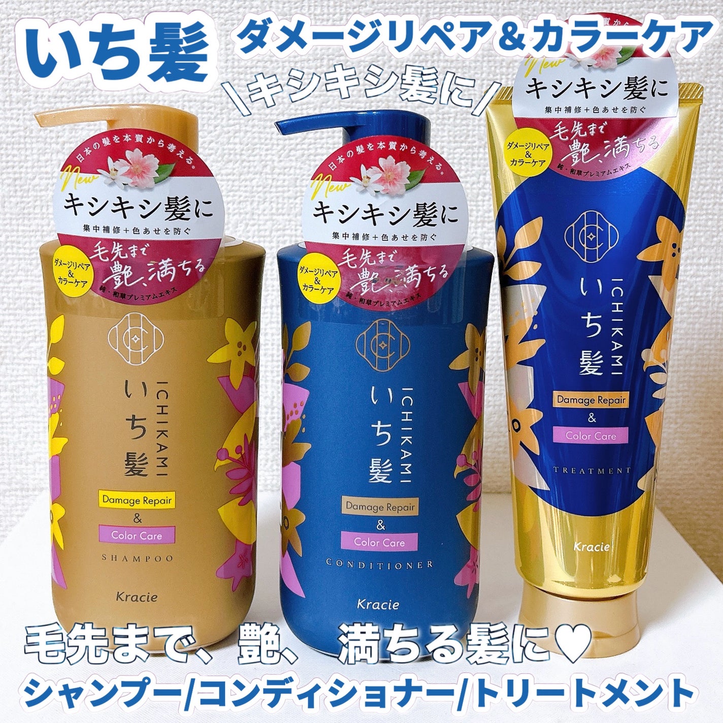 ãã¡ãŒãžãªãã¢ïŒã«ã©ãŒã±ã¢ ã·ã£ã³ããŒ/ã³ã³ãã£ã·ã§ããŒ/ãã¡é«ª/åžè²©ã·ã£ã³ããŒã䜿ã£ãã¯ãã³ãïŒ1æç®ïŒ