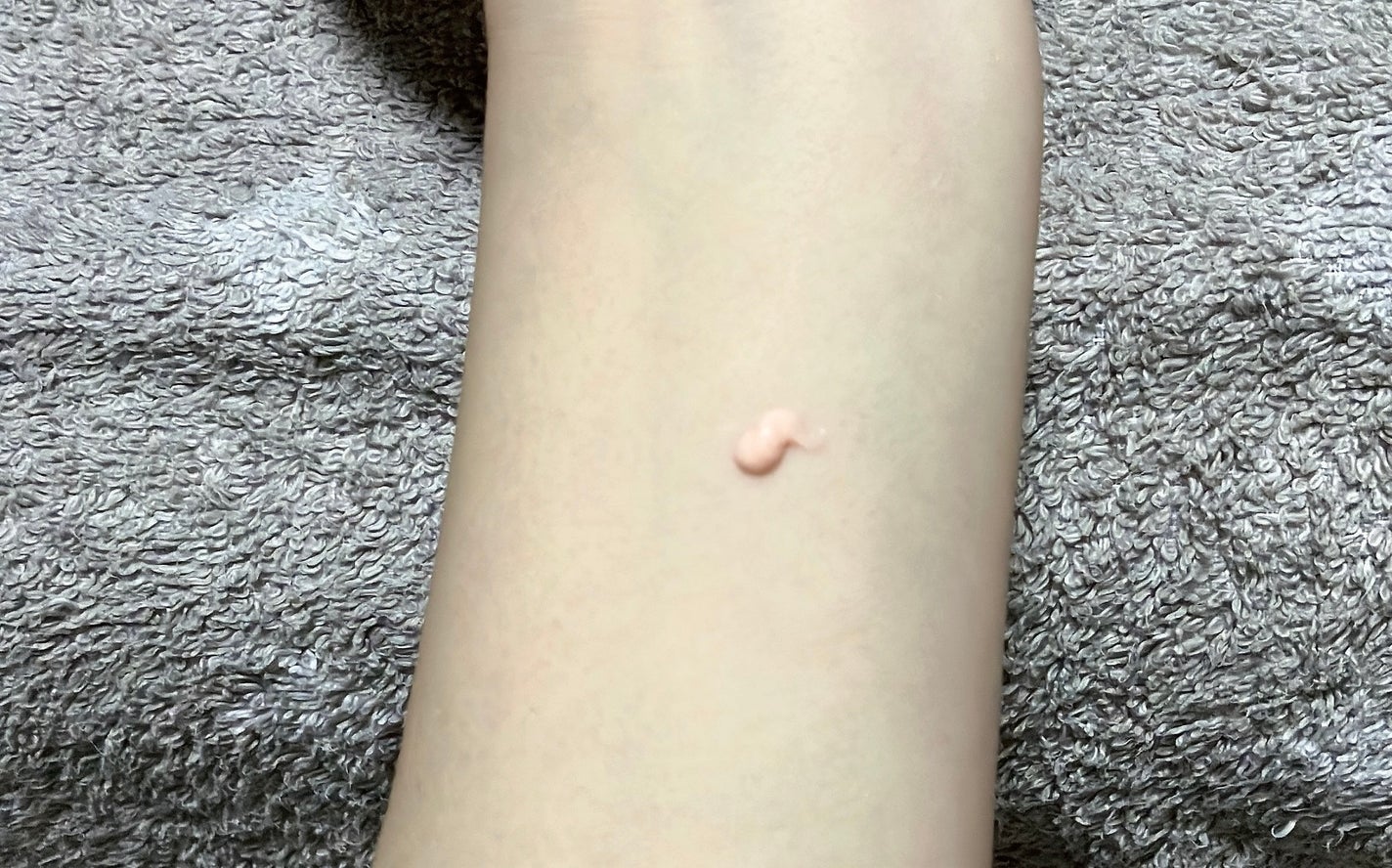 デリケートシルクベールアートプライマー/TFIT/化粧下地を使ったクチコミ(2枚目)