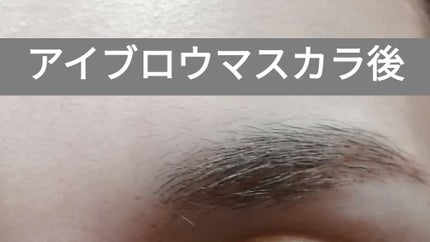 コンシーラーブロウマスカラ/キャンメイク/その他アイブロウを使ったクチコミ(3枚目)