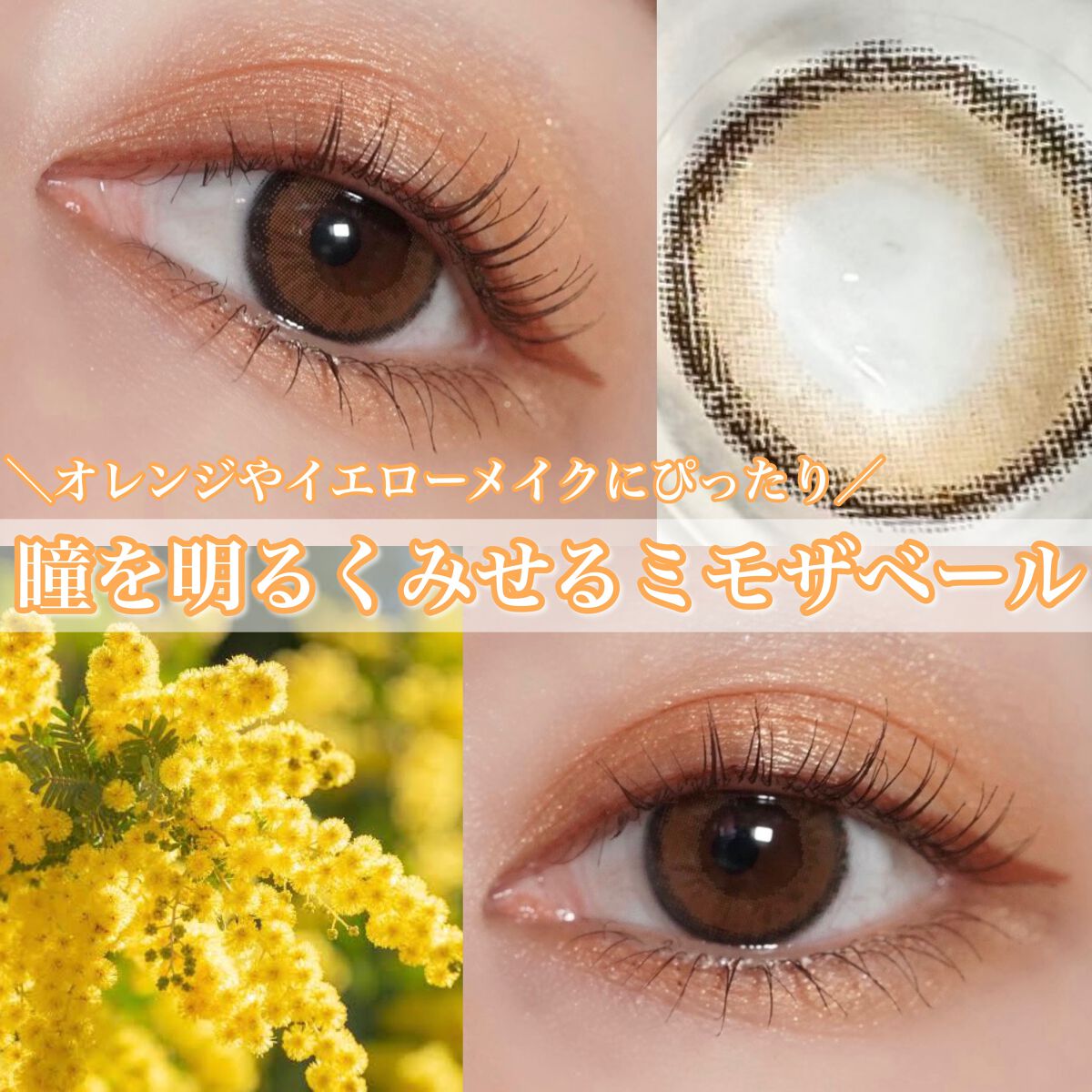 シャドーカスタマイズ/MAJOLICA MAJORCA/単色アイシャドウを使ったクチコミ(1枚目)