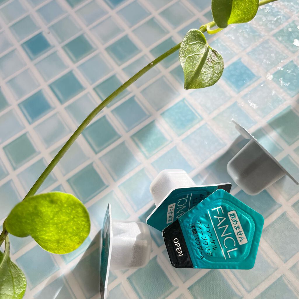 ディープクリア洗顔パウダー/ファンケル/洗顔パウダーを使ったクチコミ（2枚目）