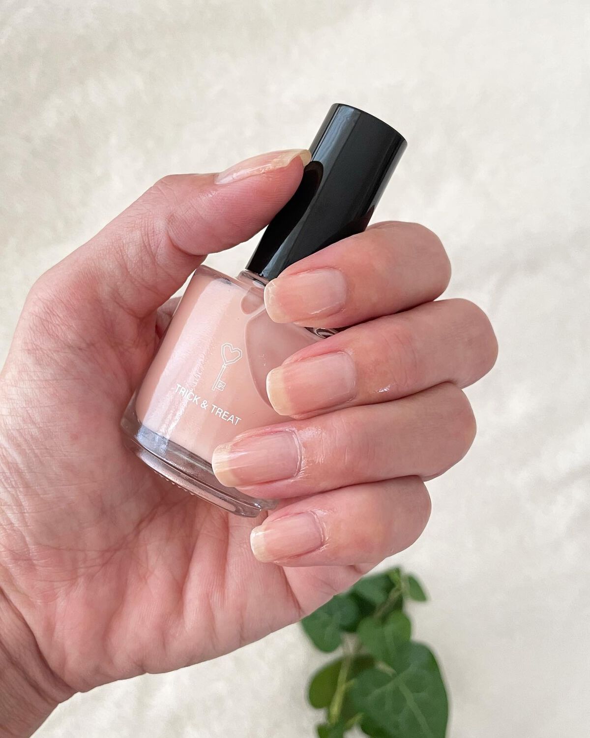 グロスフォーユアネイル/プレビュート/オールインワンネイルを使ったクチコミ（2枚目）