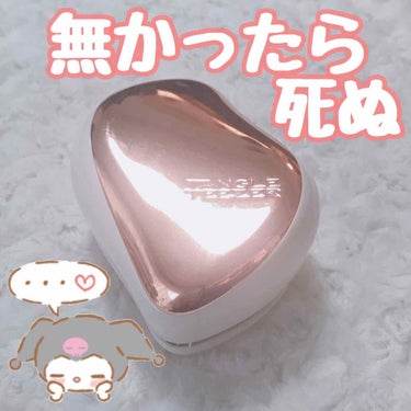 コンパクトスタイラー/TANGLE TEEZER/ヘアブラシを使ったクチコミ（1枚目）