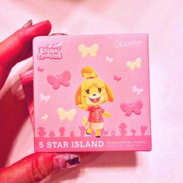 5 STAR ISLAND/ColourPop/アイシャドウパレットを使ったクチコミ（9枚目）