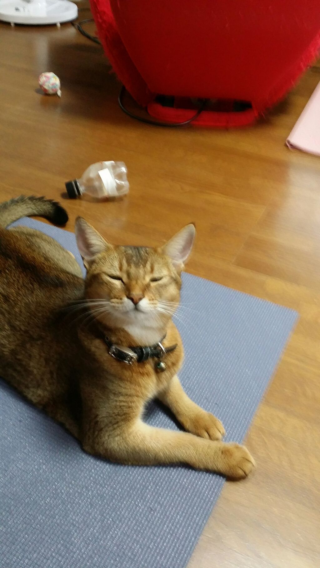 【旧】ディオール アディクト リップ マキシマイザー/Dior/リップグロスを使ったクチコミ(1枚目)