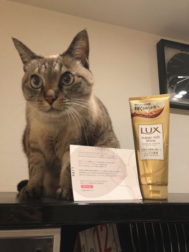 スーパーリッチシャイン ダメージリペア リッチ補修トリートメント/LUX/洗い流すヘアトリートメントを使ったクチコミ（1枚目）