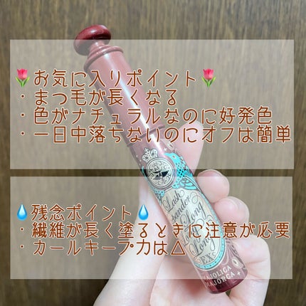 ラッシュエキスパンダー ロングロングロング EX/MAJOLICA MAJORCA/マスカラを使ったクチコミ(3枚目)