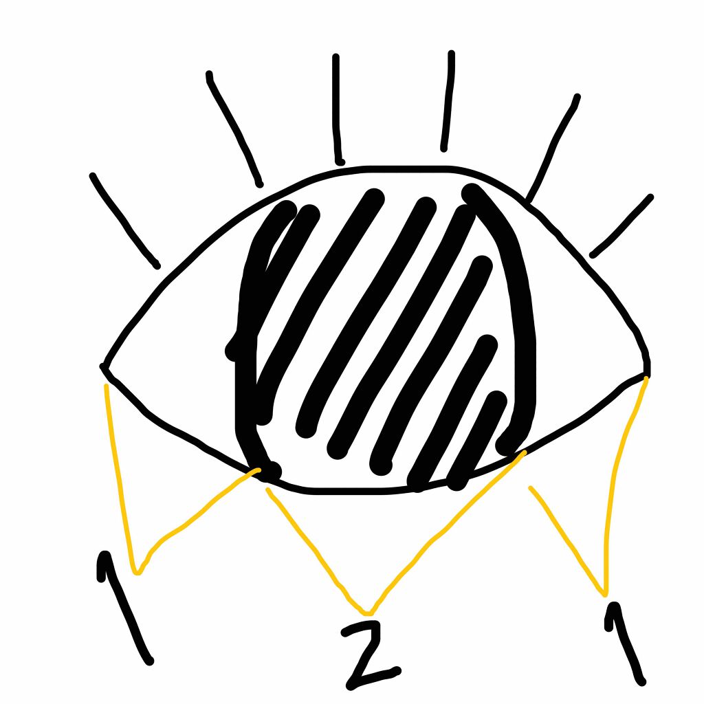 TOPARDS 1day/TOPARDS/ワンデー（１DAY）カラコンを使ったクチコミ（3枚目）