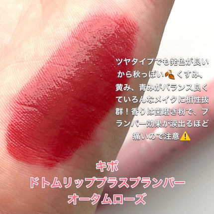 ラストベルベットティント/BBIA/リップティントを使ったクチコミ(6枚目)