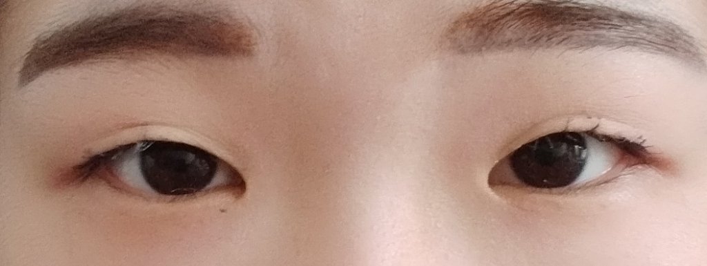 アイラッシュフィクサーEX 552/D-UP/つけまつげを使ったクチコミ（2枚目）