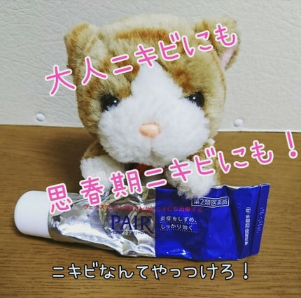 ペアアクネクリームW(医薬品)/ペア/その他を使ったクチコミ(1枚目)