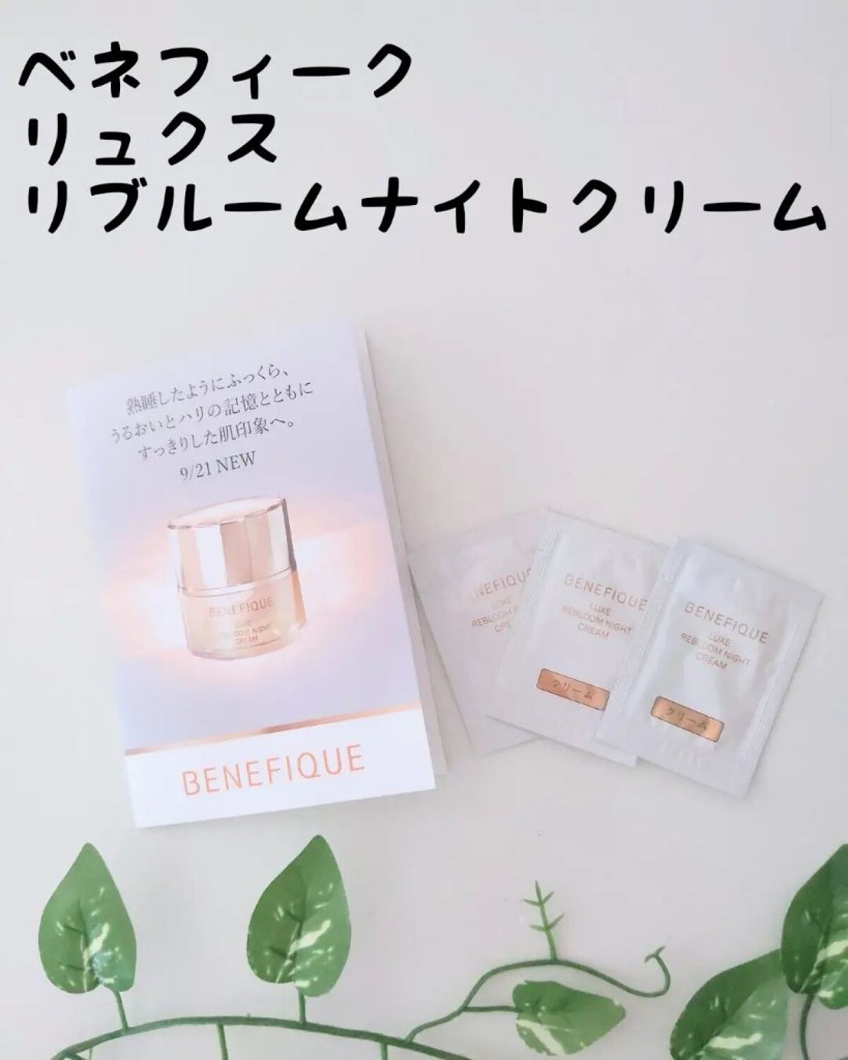 リュクス リブルームナイトクリーム/BENEFIQUE/フェイスクリームを使ったクチコミ（1枚目）