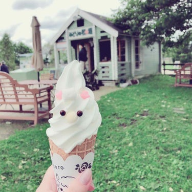 のんこ on LIPS 「北海道のお出かけ先でいい香りのハンドクリームを買いました(∩˘..」（2枚目）
