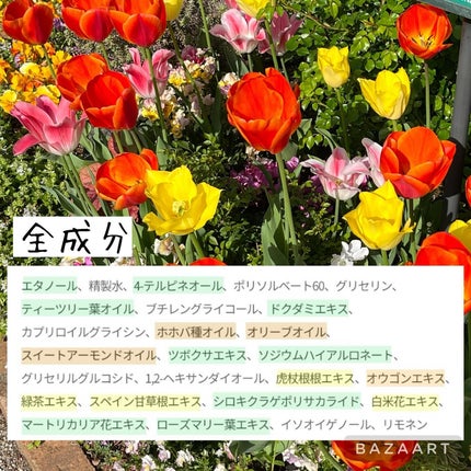 マジックティーツリーオイル/ブラン/フェイスオイルを使ったクチコミ(4枚目)