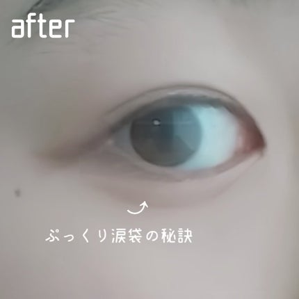 ジュエリーシャドウベール/キャンメイク/アイシャドウパレットを使ったクチコミ(3枚目)