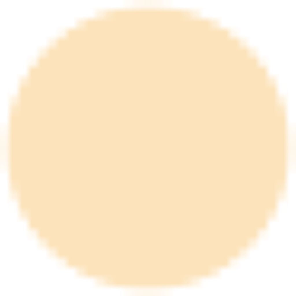 BO-305 ベージュオークル