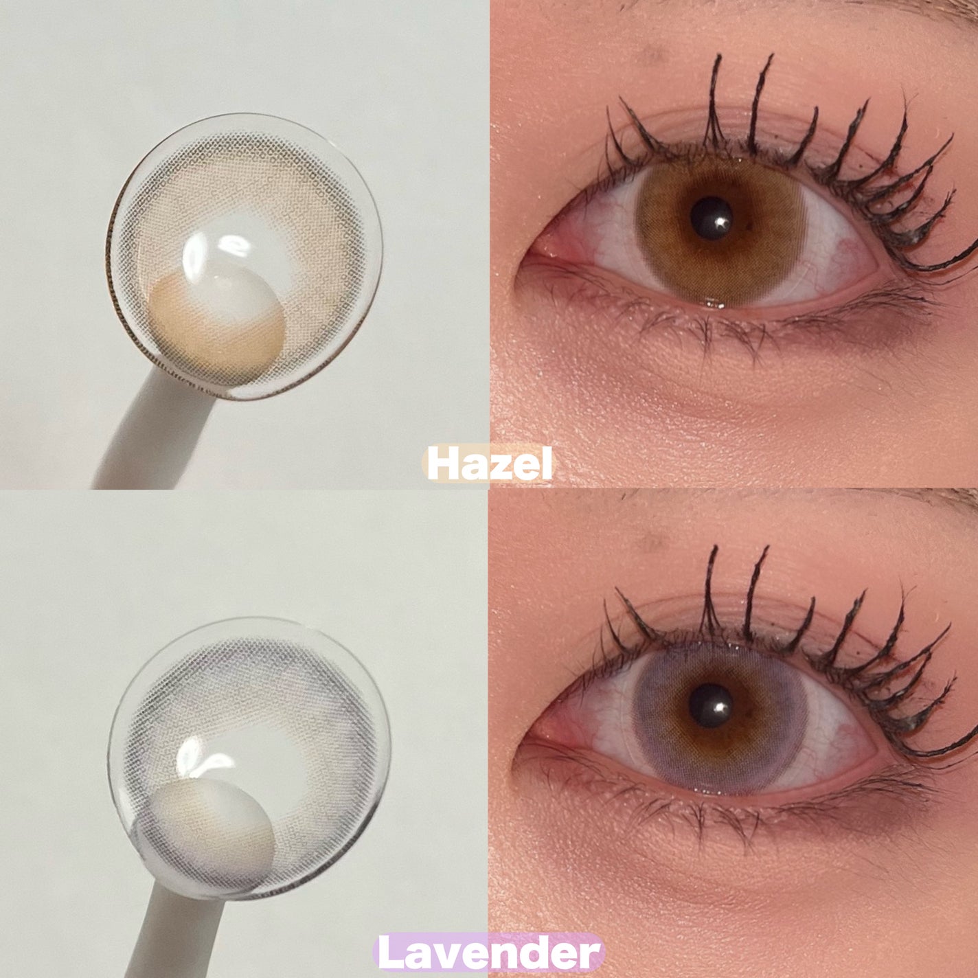 FrenchShine1day/OLENS/ワンデー(1DAY)カラコンを使ったクチコミ(2枚目)