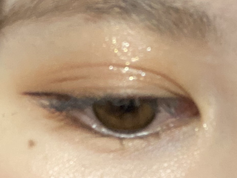 ブラーフィニシュシャドウパレット/Dinto/アイシャドウパレットを使ったクチコミ（2枚目）