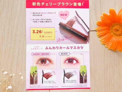 パーフェクトエクステンション マスカラ for カール/D-UP/マスカラを使ったクチコミ(6枚目)