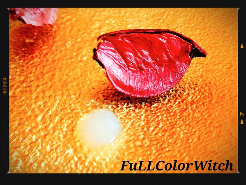 クリアウェルネス ナチュラル ドリップ/雪肌精/化粧水を使ったクチコミ（2枚目）