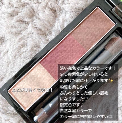 ヴィセ リシェ アイブロウパウダー/Visée/パウダーアイブロウを使ったクチコミ(2枚目)