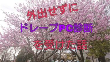 
おはこんばんちは˙ᵕ˙
お久しぶりです則巻です！

春ですね🌸花粉シーズンですね😷（杉ヒノキ両方です）

今回のお話はパーソナルカラー診断（以後PC診断）のお話です。

則巻この度診断して頂きました！