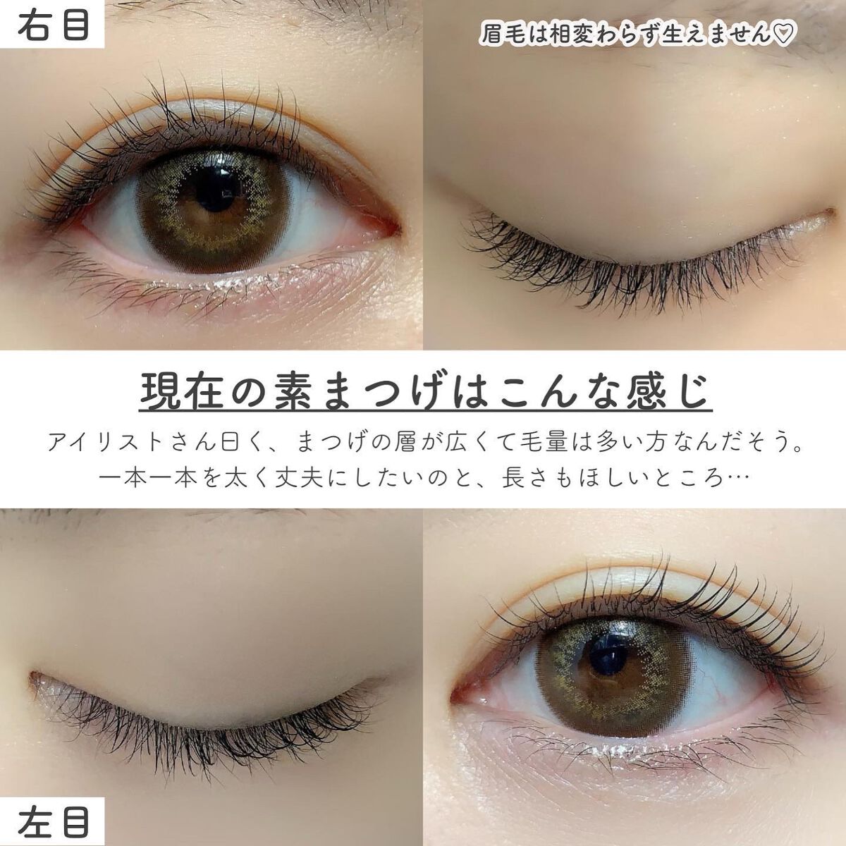 エグータム/アルマダスタイル/まつげ美容液を使ったクチコミ(3枚目)