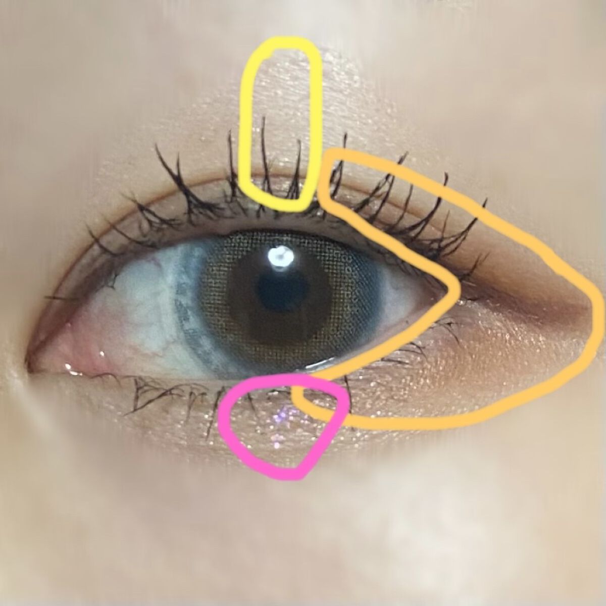 ショコラスウィート アイズ ソフトマット/リンメル ロンドン/アイシャドウパレットを使ったクチコミ（2枚目）