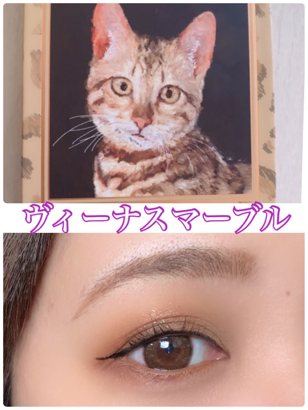 Venus Marble アイシャドウキャットシリーズ/Venus Marble/アイシャドウパレットを使ったクチコミ（1枚目）