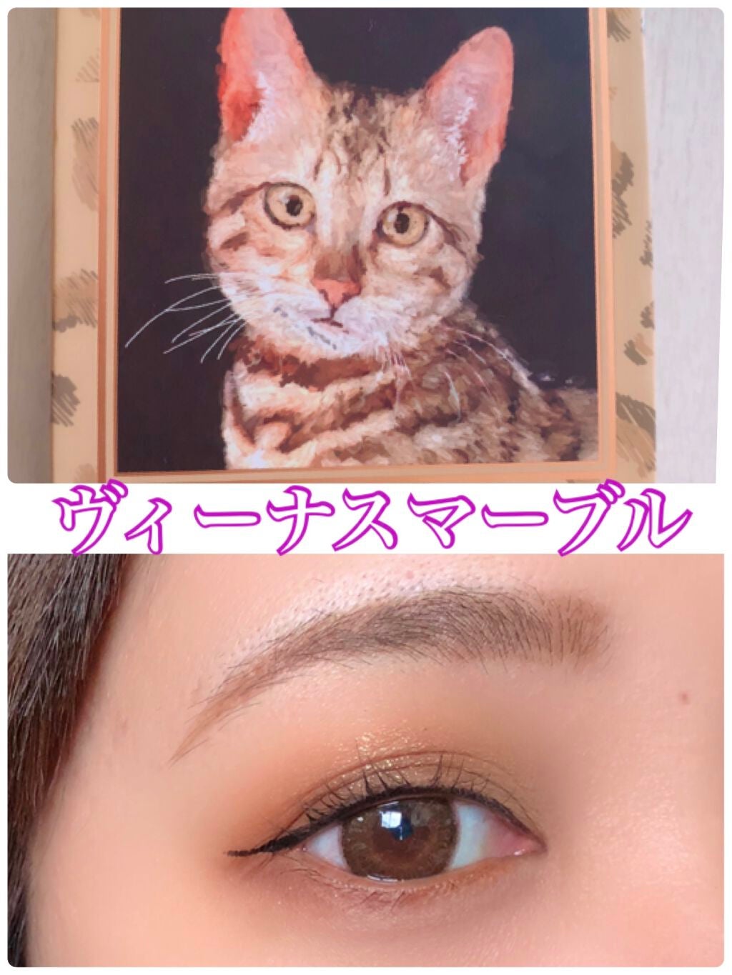 Venus Marble アイシャドウキャットシリーズ/Venus Marble/アイシャドウパレットを使ったクチコミ(1枚目)