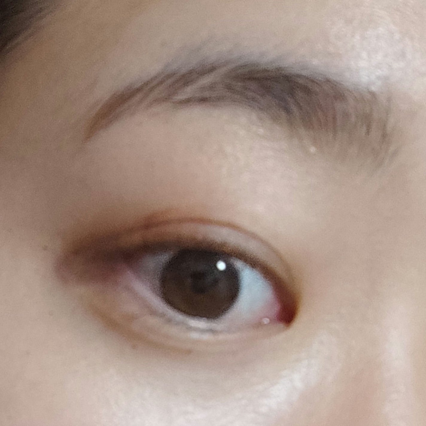 フローレスブロウリキッド/キャンメイク/リキッドアイブロウを使ったクチコミ(5枚目)