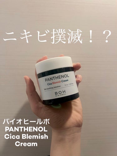 パンテノールシカブレミッシュクリーム/BIOHEAL BOH/フェイスクリームを使ったクチコミ（1枚目）