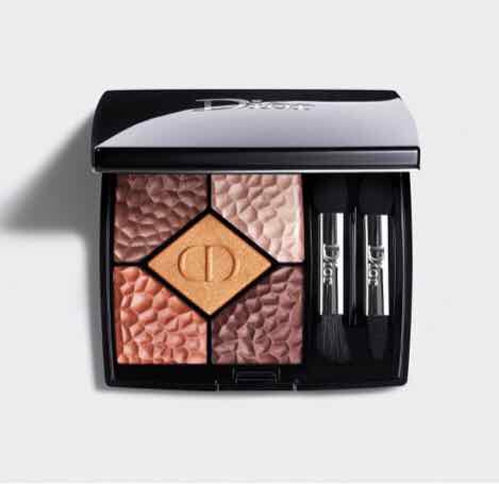サンク クルール<ワイルド アース>/Dior/アイシャドウパレットを使ったクチコミ(2枚目)